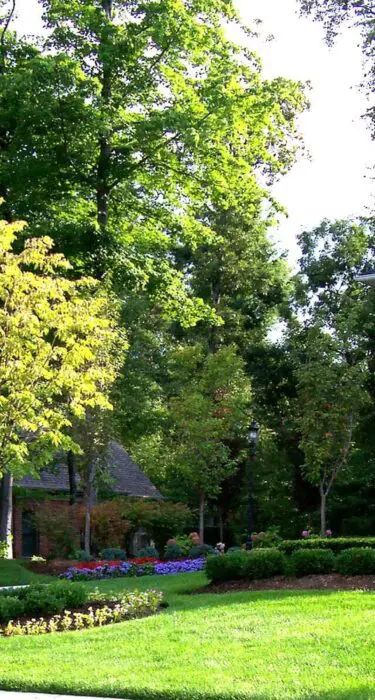 royal-oak-mi-landscape-design royal-oak-mi-landscape-design