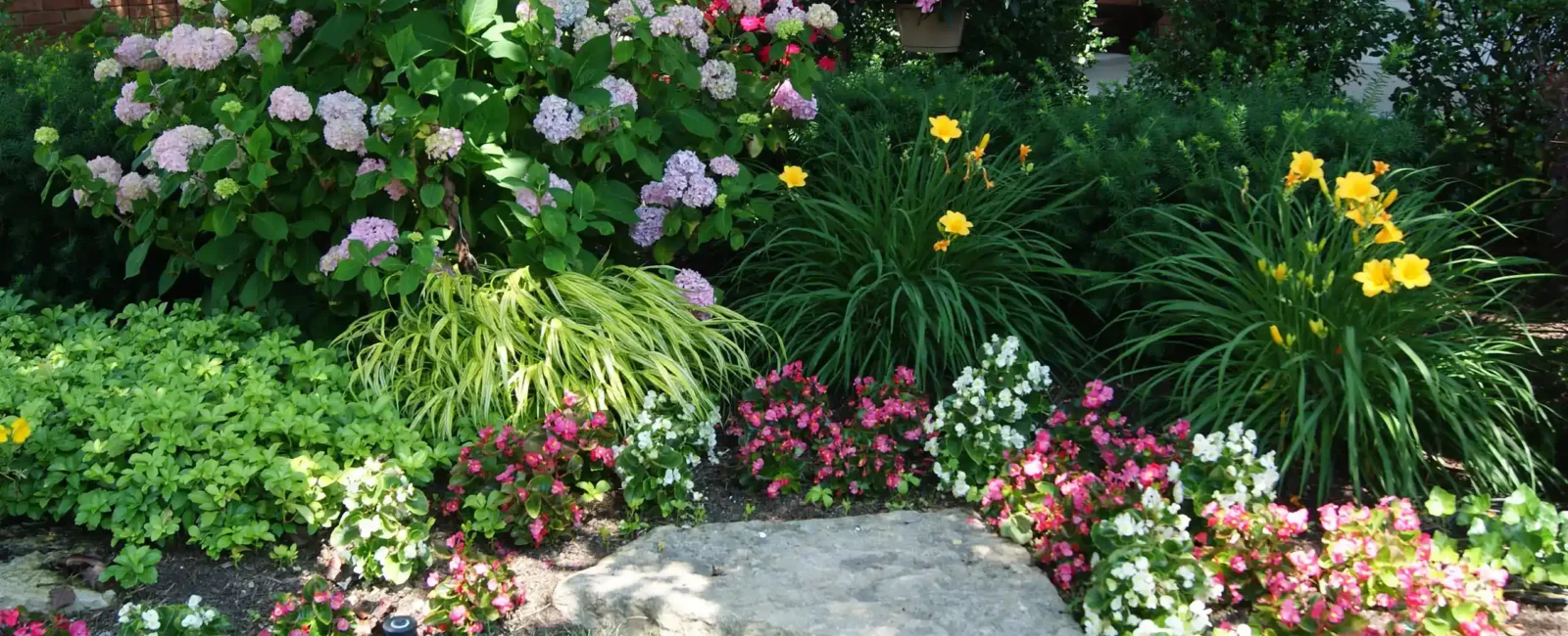 birmingham-mi-plant-health-care_11zon